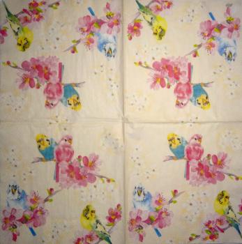 019 Parrot - 3-ply - Ihr